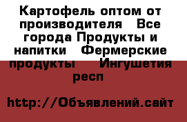 Картофель оптом от производителя - Все города Продукты и напитки » Фермерские продукты   . Ингушетия респ.